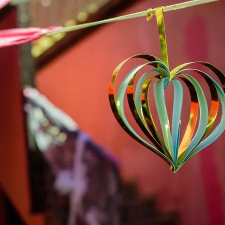 Brunette Beauties & Sinemorets Pensjonat Sinemorec