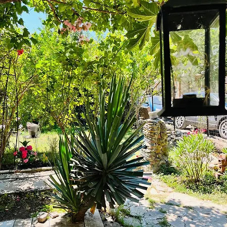 Brunette Beauties & Sinemorets